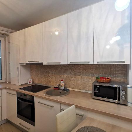 Contemporary Central Apartment In Cluj Napoca מראה חיצוני תמונה