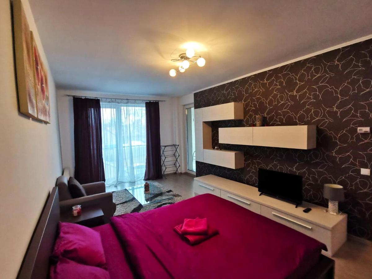Contemporary Central Apartment In Cluj Napoca מראה חיצוני תמונה