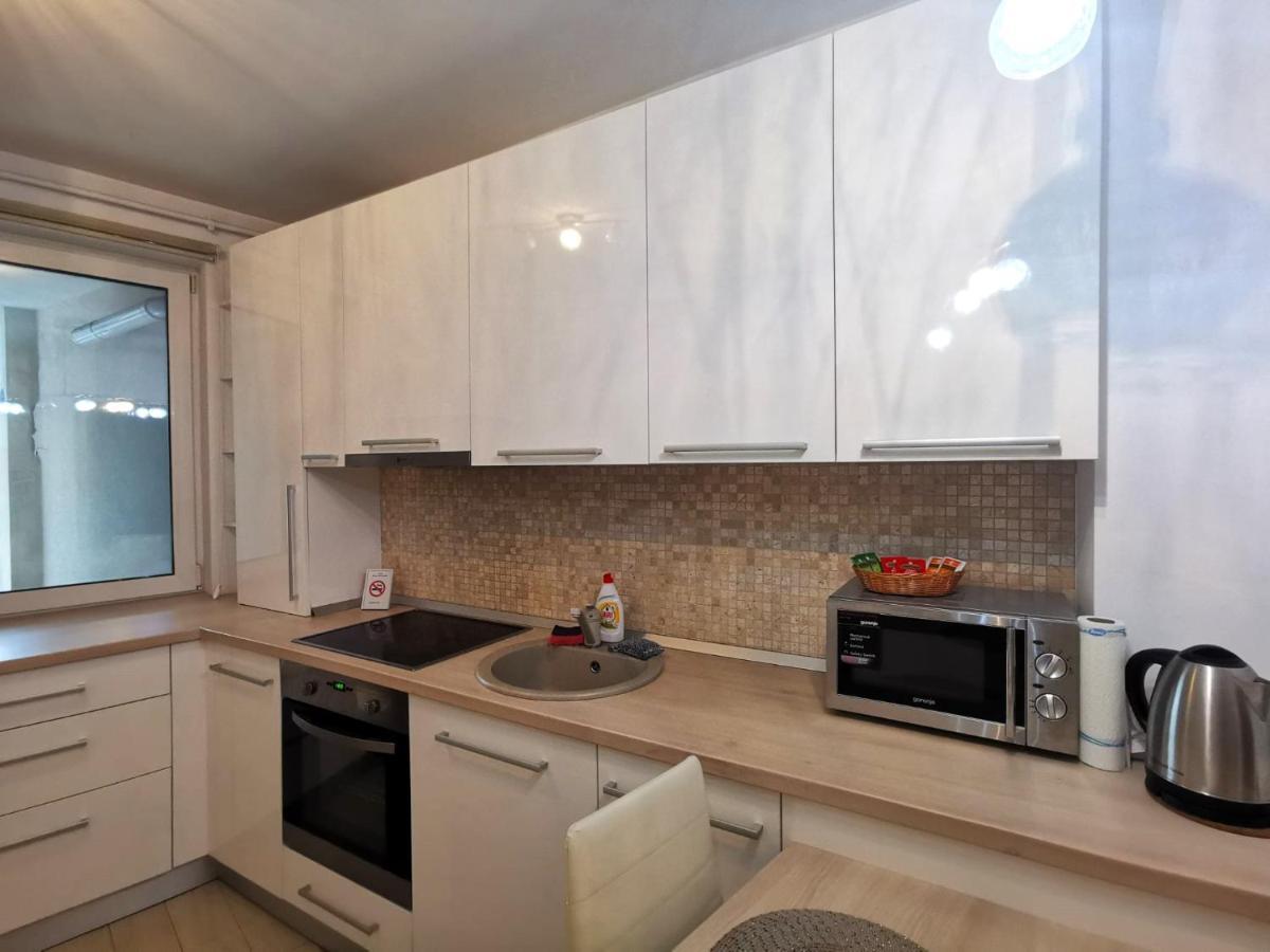 Contemporary Central Apartment In Cluj Napoca מראה חיצוני תמונה
