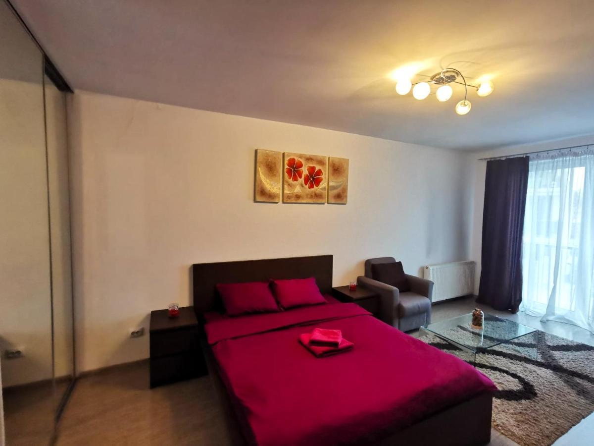 Contemporary Central Apartment In Cluj Napoca מראה חיצוני תמונה